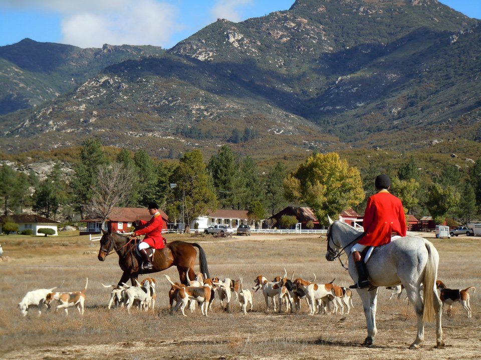 Santa Fe Hunt staff in scarlet coats with the hound pack against the mountains