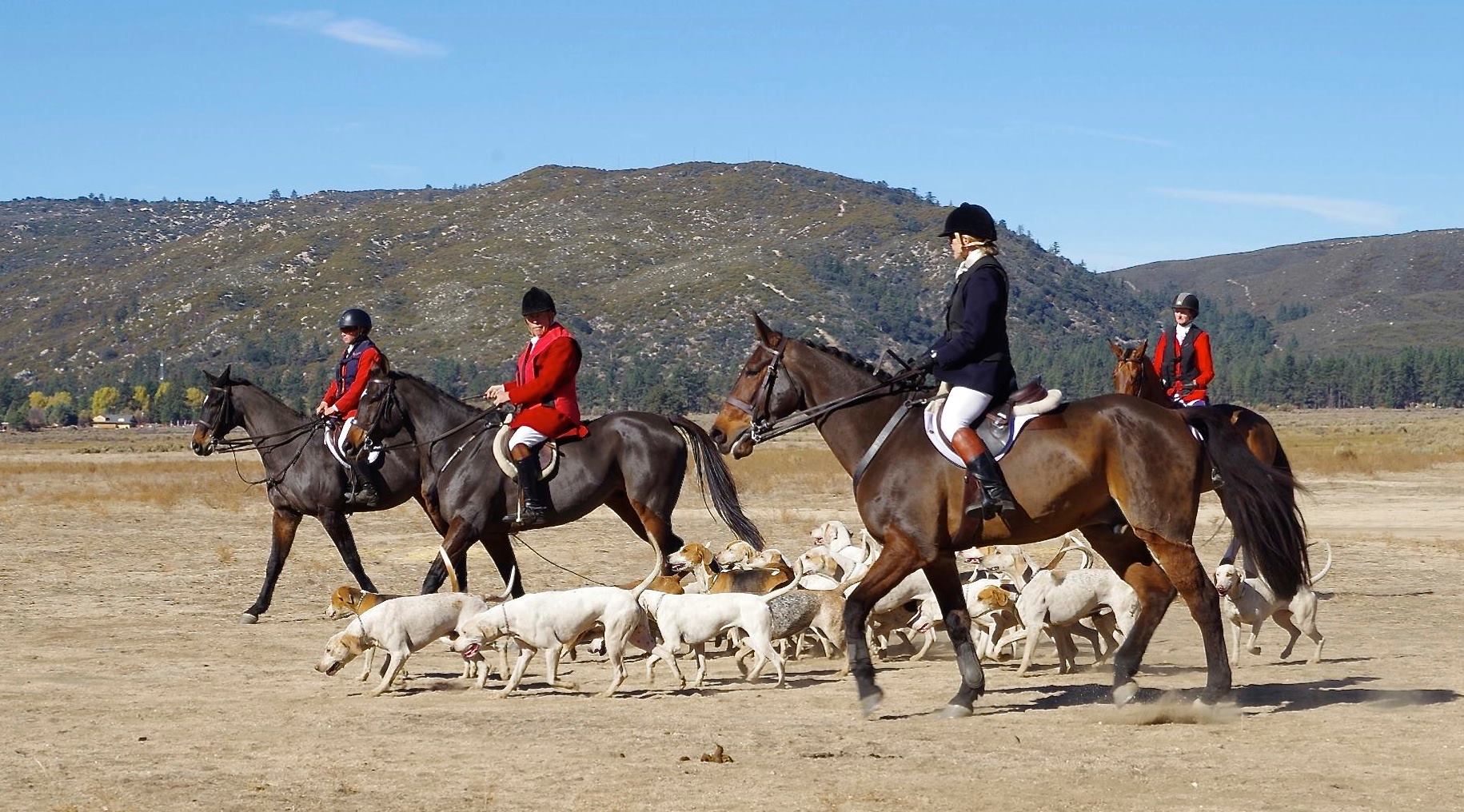 Blessing of the Hounds