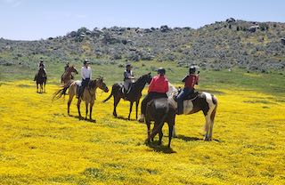 Riding through spring wildflowers