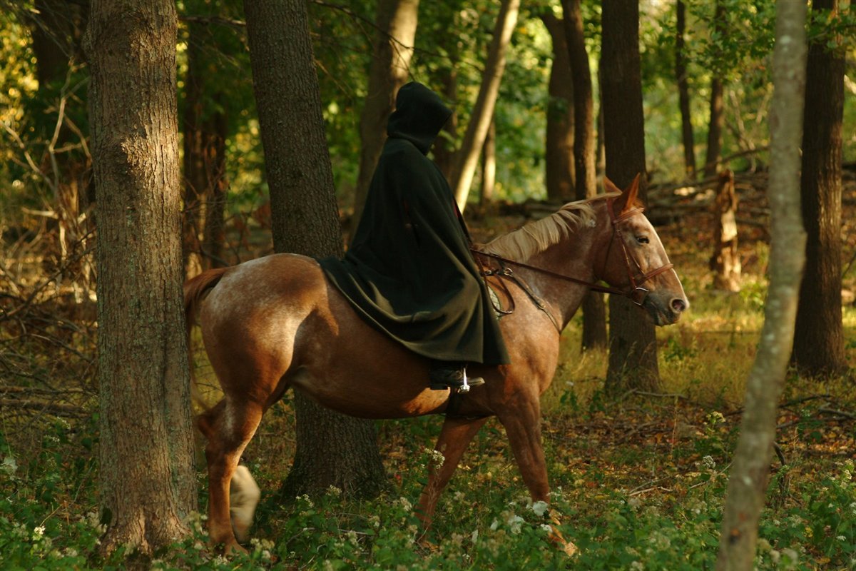 A rider in a hooded cloak on a chestnut horse in dappled woodland