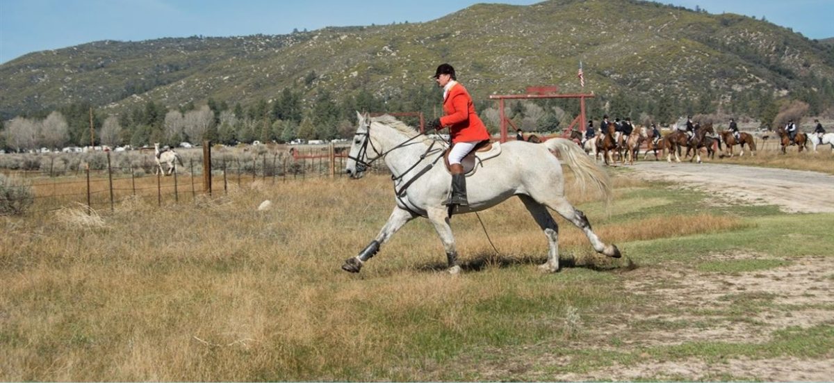 A rider in scarlet at the hunter pace
