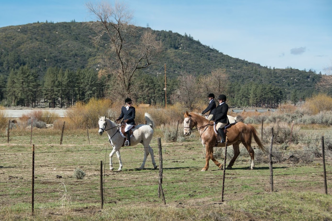 Members in the field