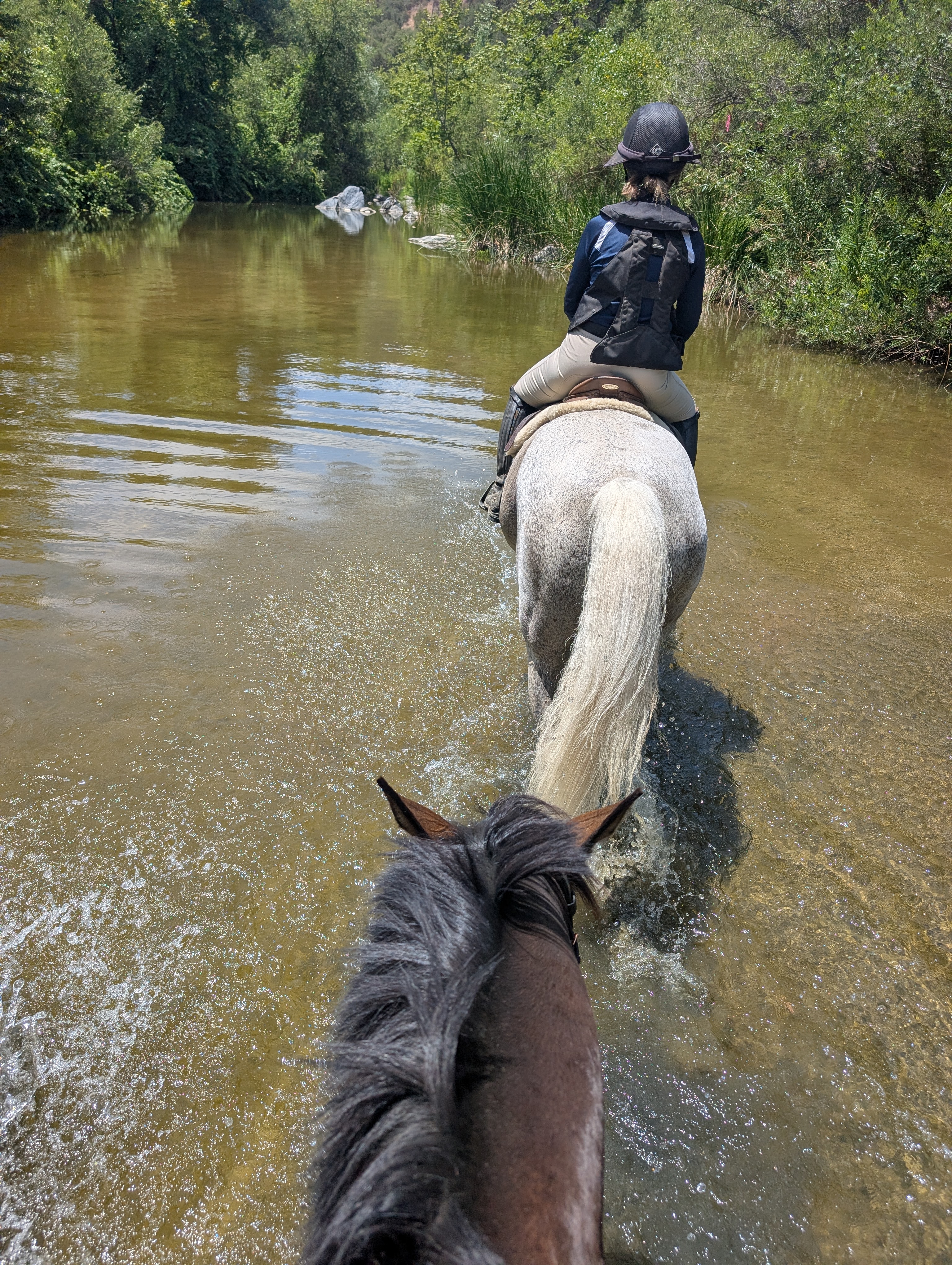 Crossing the river on a trail ride